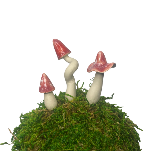 Miniature Ceramic Mushrooms - Gems