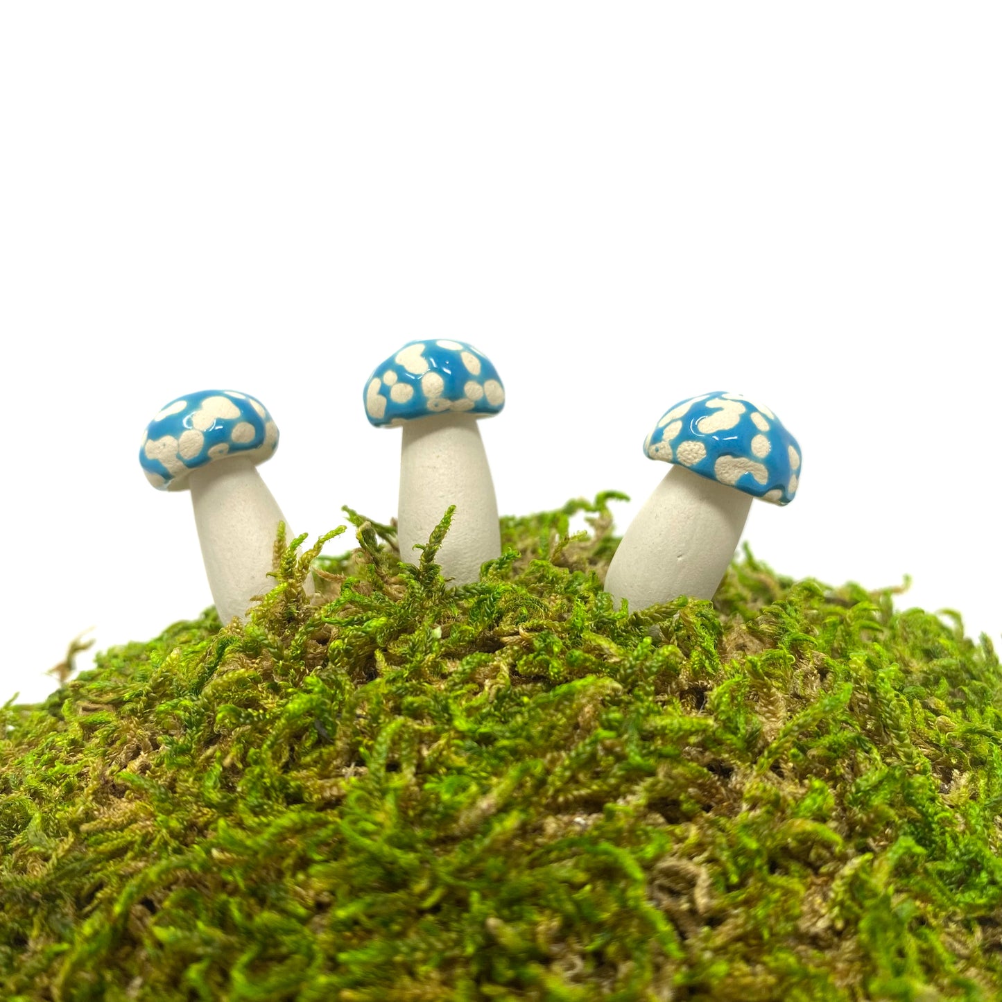 Miniature Amanita Mushrooms