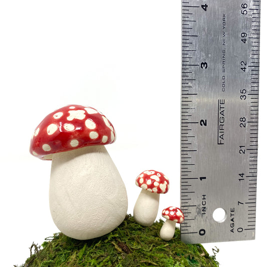 Macro Ceramic Mushrooms