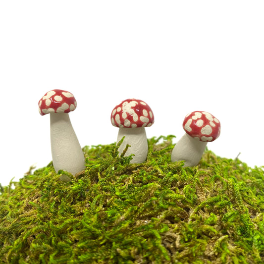 Miniature Amanita Mushrooms