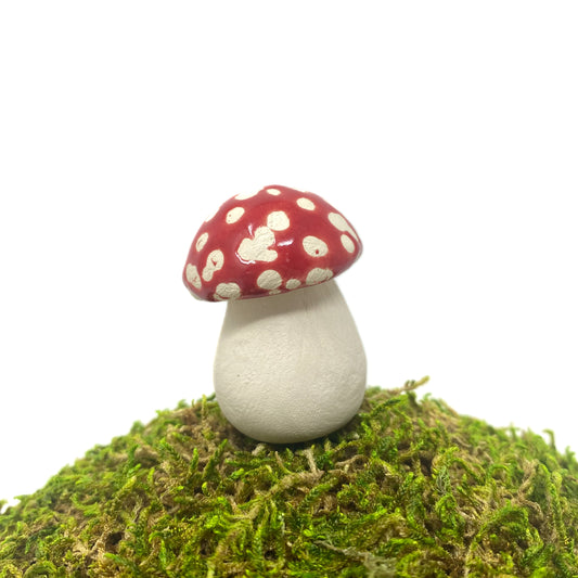 Macro Ceramic Mushrooms