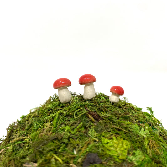 Micro Ceramic Mushrooms