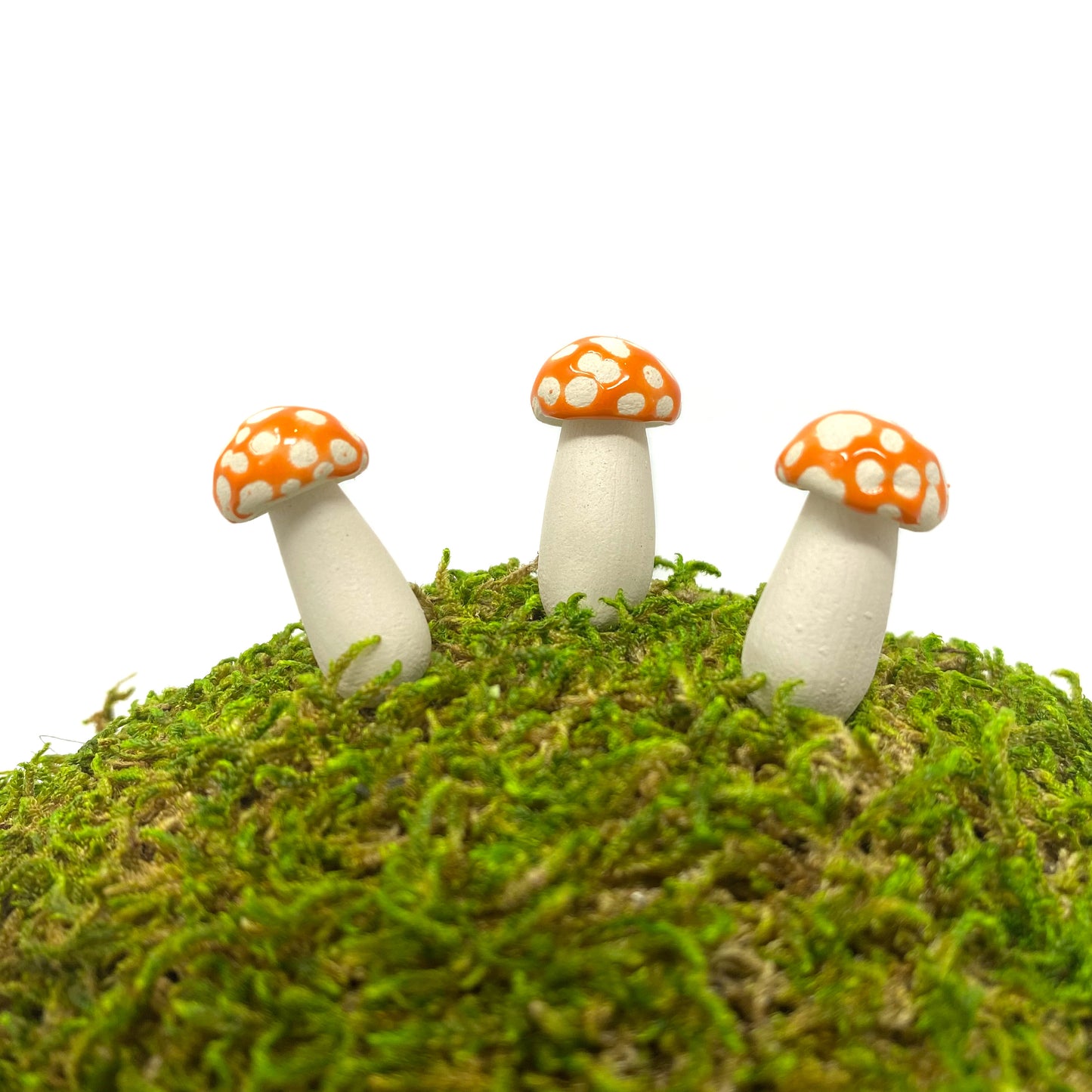 Miniature Amanita Mushrooms