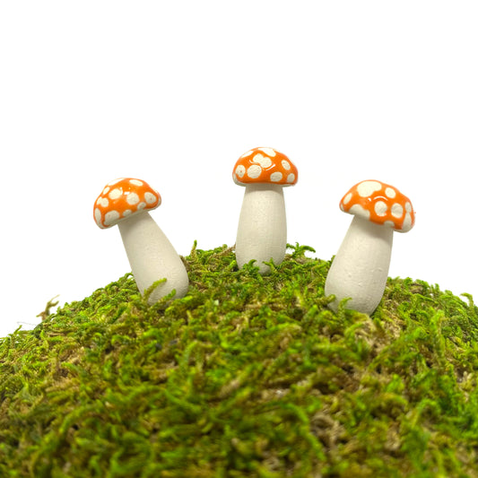 Miniature Amanita Mushrooms