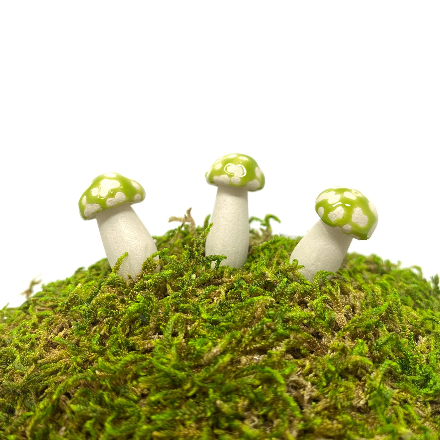 Miniature Amanita Mushrooms