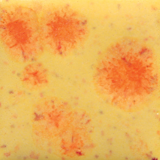 Miniature Ceramic Mushrooms - Gems