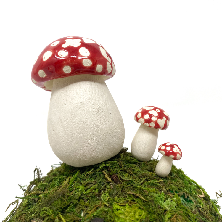 Best Selling Mushrooms