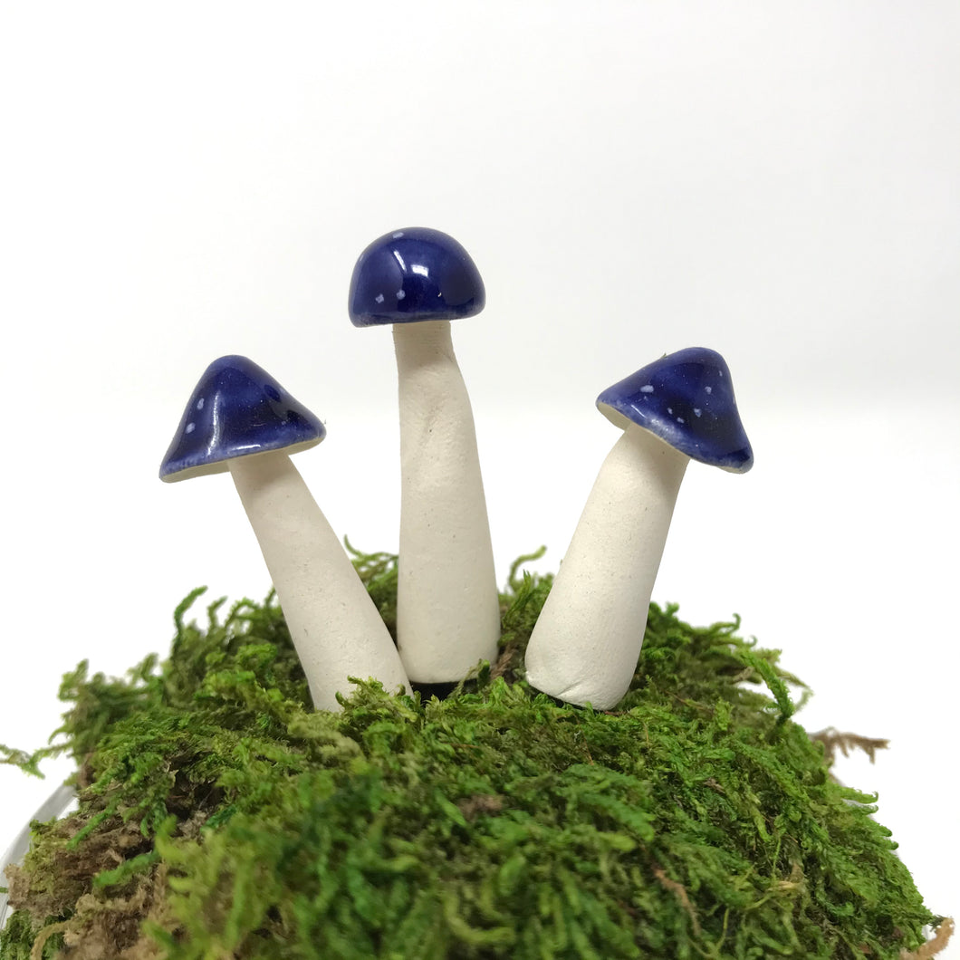 Miniature Mushroom: Midnight Blue with White Sprinkles
