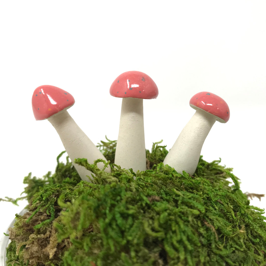 Miniature Mushroom: Pink Honeysuckle Sprinkles