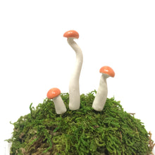 Load image into Gallery viewer, Miniature Mushroom: Orange
