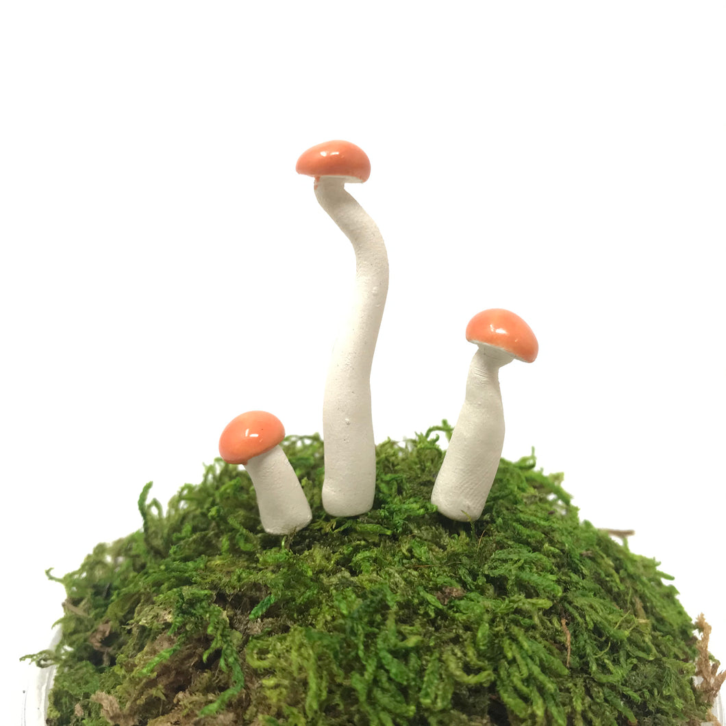 Miniature Mushroom: Orange