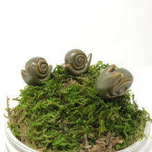 Load image into Gallery viewer, Miniature Snail: Army Green
