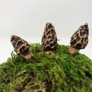 Miniature Mushroom: Morel