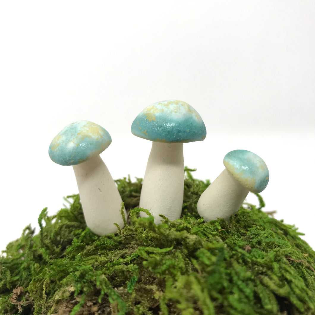 Miniature Mushroom: California Dreaming Crystalline