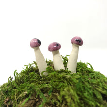 Load image into Gallery viewer, Miniature Mushroom: Cranberry Frost with Sprinkles
