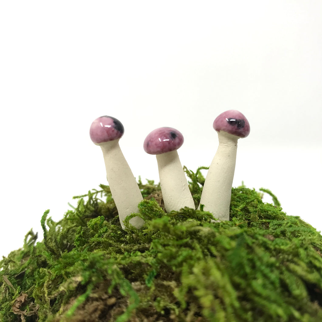Miniature Mushroom: Cranberry Frost with Sprinkles