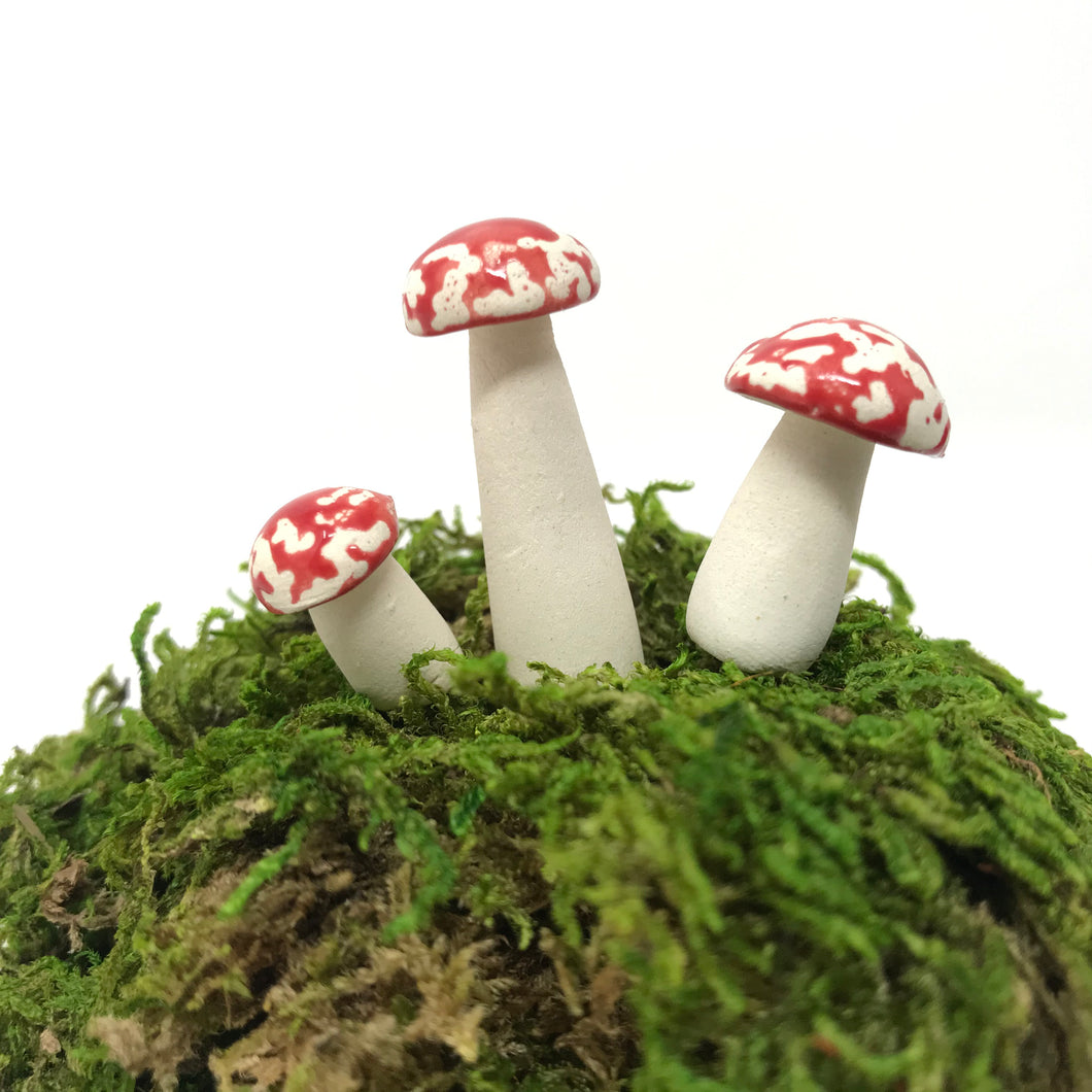 Miniature Mushroom: Amanita Muscaria