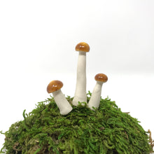 Load image into Gallery viewer, Miniature Mushroom: Pumpkin Spice
